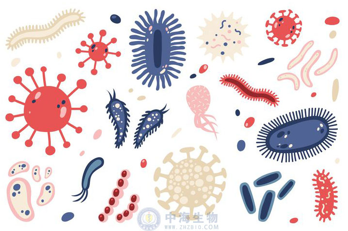 微生物是什么？哪些營(yíng)養(yǎng)物質(zhì)促進(jìn)微生物生長(zhǎng)繁殖？